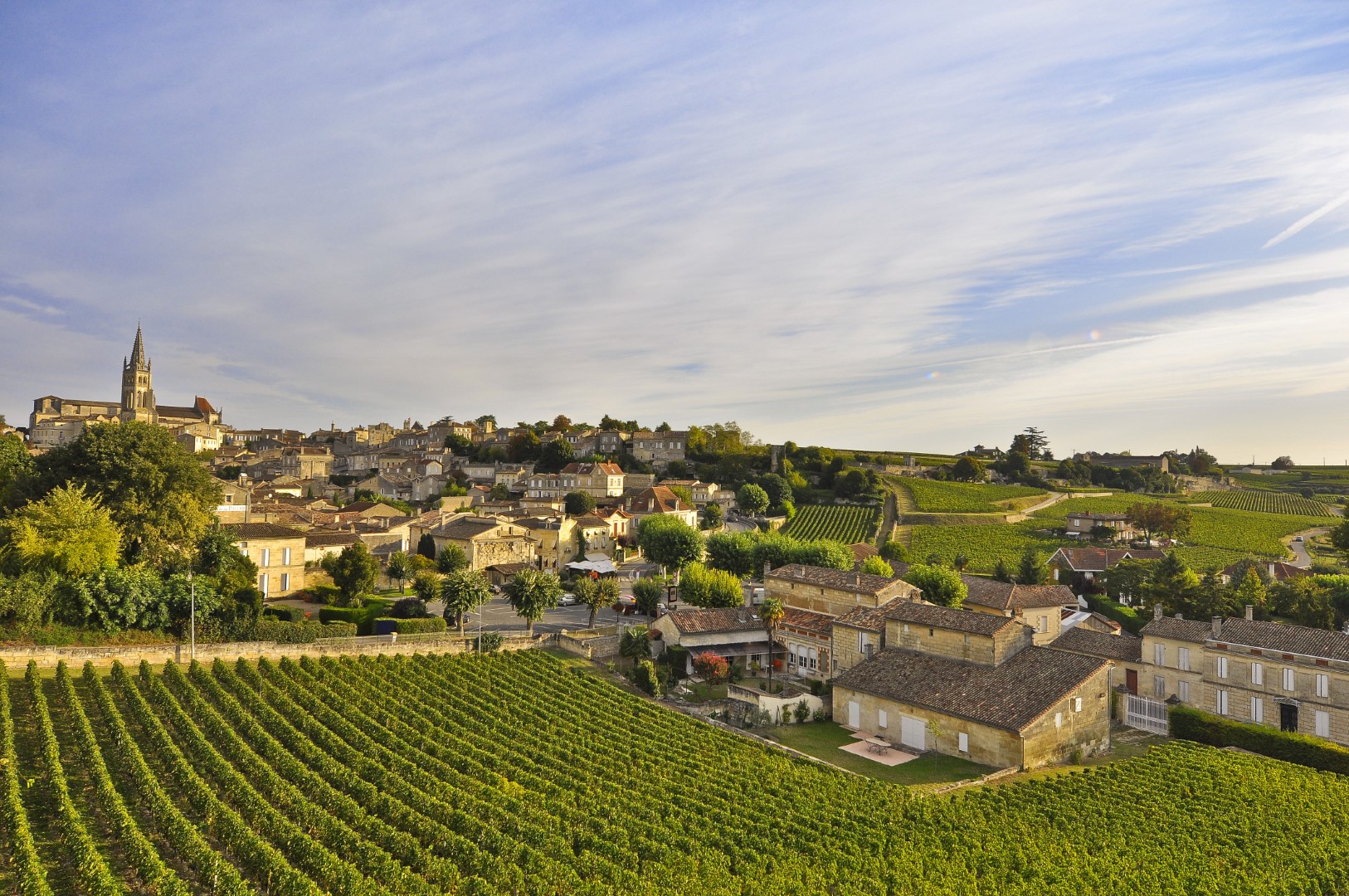 VUE GENERALE CITE St Emilion