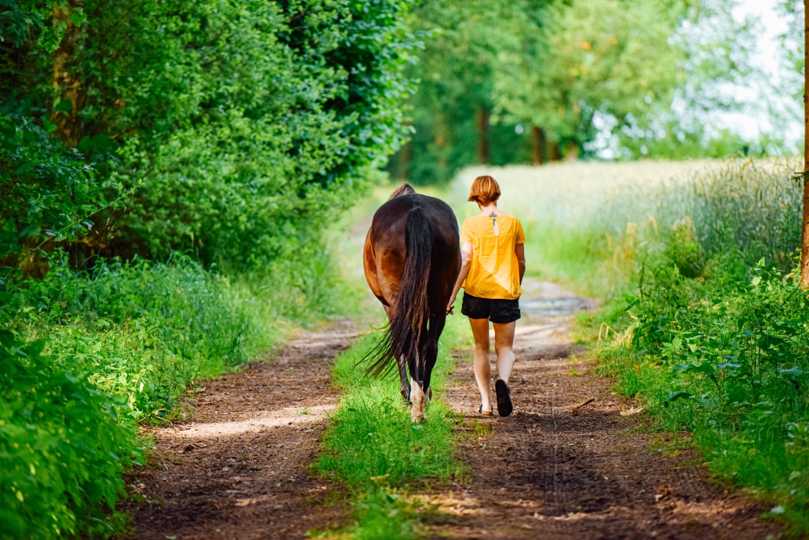 Balade à cheval en Sud Charente